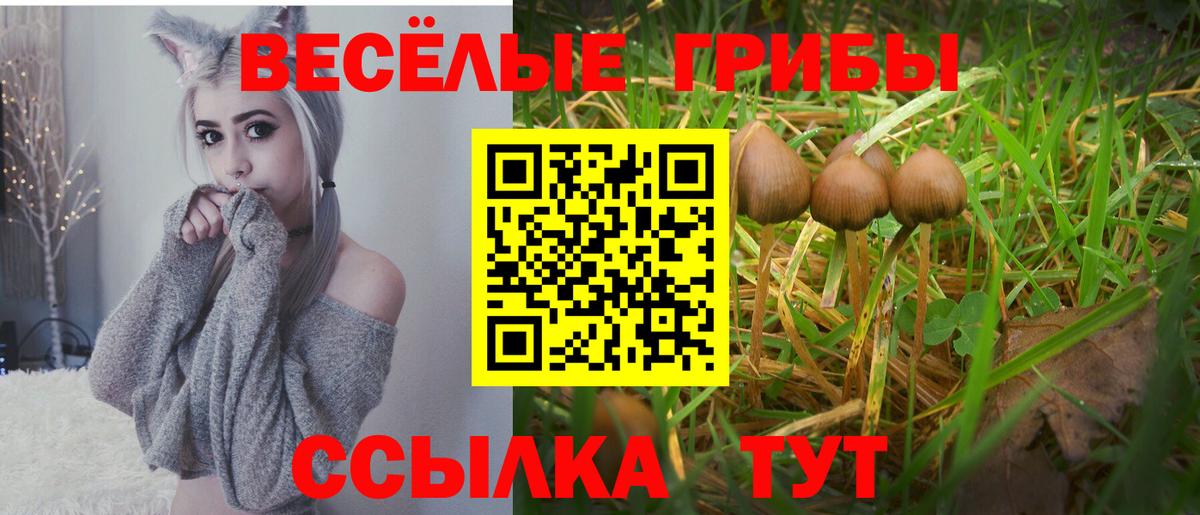 Галлюциногенные грибы Magic Shrooms  Вход с VPN  Заречный 